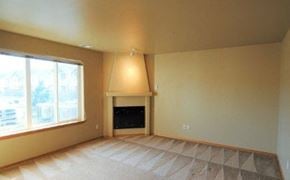 Wenatchee apartment for rent - a living room with a fireplace and a large window