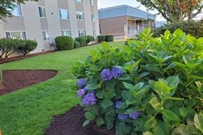 Marysville apartment for rent - a garden with purple flowers in front of an apartment building