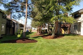 Marysville apartment for rent - a view of a yard with trees and houses