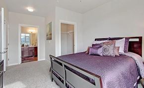 Lynnwood apartment for rent - A bedroom with a purple bedspread and a large bed.