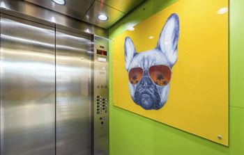 Elevator
