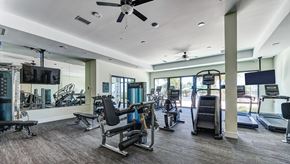 Bonita Springs apartment for rent - Gym with Equipment at Imperial Crossing Luxury Apartment Homes, Bonita Springs, 34134