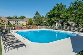 Columbus apartment for rent - A large blue swimming pool surrounded by lounge chairs and trees.