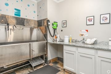 Dublin apartment for rent - A kitchen with a stainless steel sink and a green robotic vacuum cleaner.