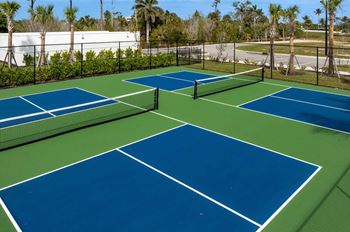 Pickle ball court