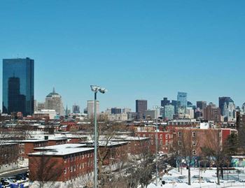 Skyline views of boston