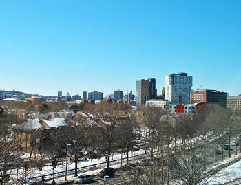 Skyline views of boston