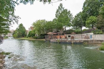 Pond
