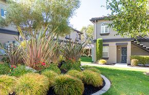 Ripon apartment for rent - Landscape Grounds Exterior Building | Villagio Apartments in Ripon, CA 95366
