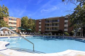 Silver Spring apartment for rent - the swimming pool at the residence inn