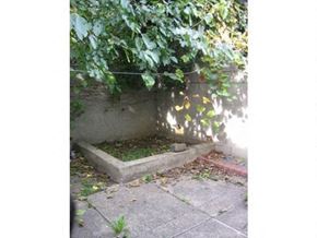 Philadelphia apartment for rent - a cement planter with grass growing in it under a tree