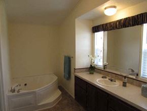 Grand Island apartment for rent - a bathroom with a tub and a sink and a mirror