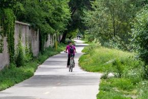 Denver apartment for rent - A person riding a bicycle on a paved path in a green, leafy area.