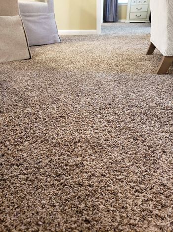 Carpet