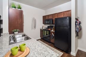 Austin apartment for rent - A kitchen with a black refrigerator and a sink with two green mugs on a wooden tray.