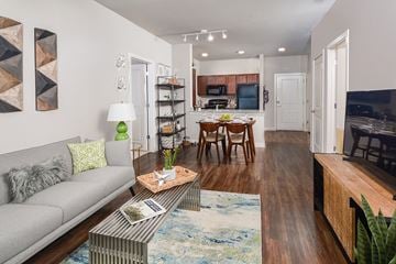 Austin apartment for rent - A living room with a grey couch and a coffee table.