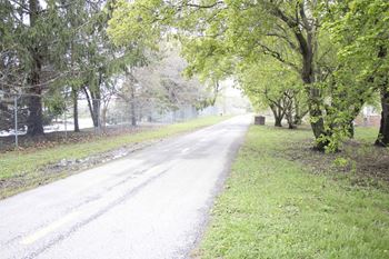Walk trail
