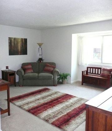 Iowa City apartment for rent - a living room with a couch and a rug