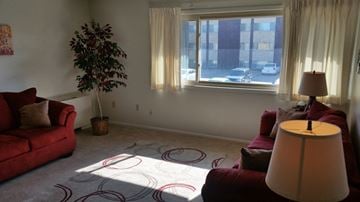 Iowa City apartment for rent - a living room with two couches and a large window