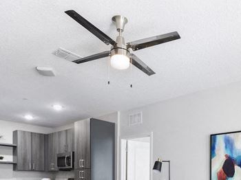 Ceiling fan