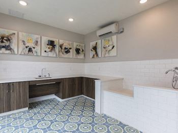 Dog salon amenity