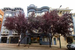 San Francisco apartment for rent - A row of houses with a tree in front of them.