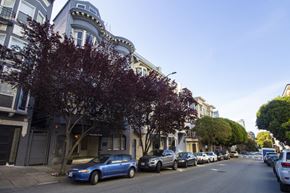 San Francisco apartment for rent - A blue car is parked on the side of a street.