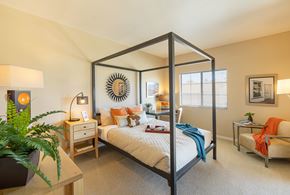 Oro Valley apartment for rent - A bedroom with a four poster bed and a potted plant on the side table.