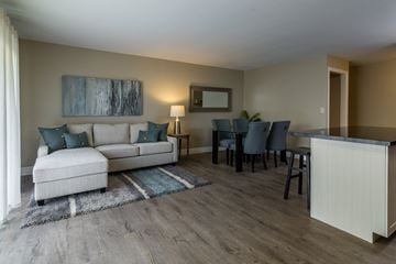 Amherstview apartment for rent - A living room with a white couch, a blue rug, and a painting on the wall.