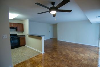 Silver spring house ceiling fan