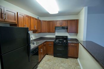 Silver spring house gas range
