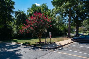 Silver spring house parking
