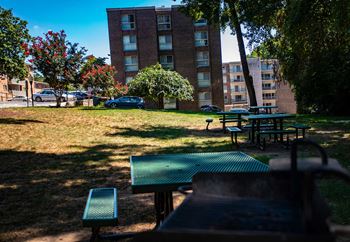 Picnic area 2