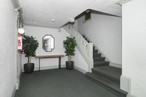 San Francisco apartment for rent - A hallway with a staircase, a mirror, and two potted plants.