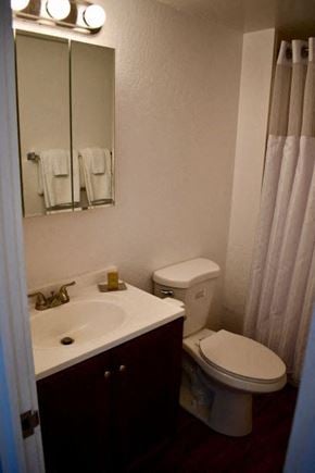 Hilo apartment for rent - a bathroom with a toilet and a sink and a mirror