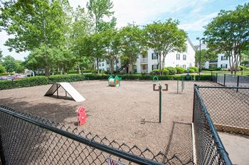 Bark park