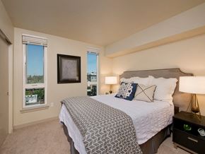 Seattle apartment for rent - Bedroom with windows at Infinity Apartments in Seattle WA