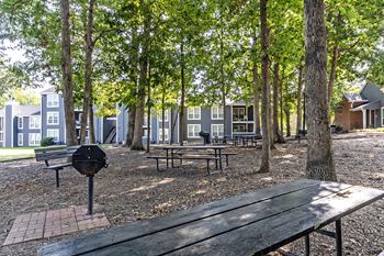 Bbq area with grill and picnic tables