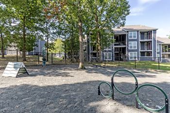 Dog park with agility center