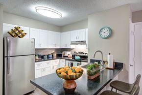 Centreville apartment for rent - Westfield Village model unit.