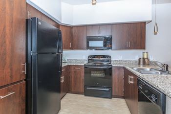 Fully equipped kitchen with modern appliances