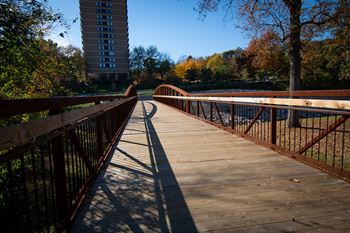 Parkland walking area footbridge