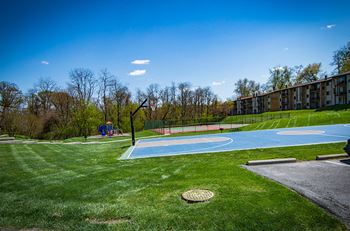 Basketball court