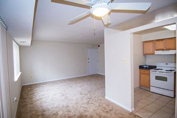 Ceiling fan