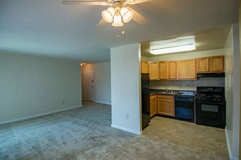 Ceiling fans