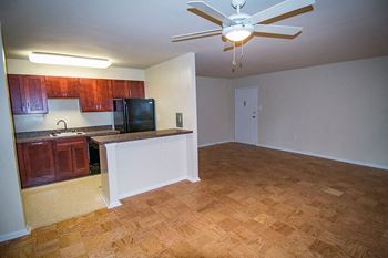 Ceiling fans