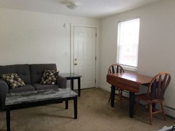Ithaca apartment for rent - A living room with a grey couch, a wooden table and two chairs.