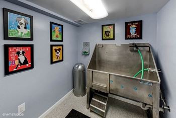 Furry friends pet wash station