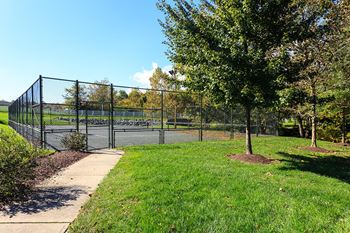 Tennis court