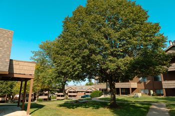 Courtyards and picnic areas with grills